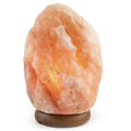 Himalayan Pink Salt Lamps + 12V 12W Switch - Natural Rock Shape